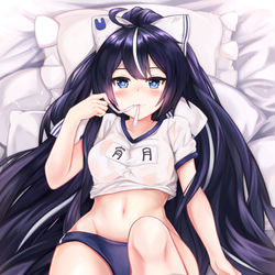 This is a pixiv picture whose title is 宵月.