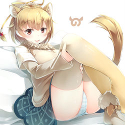 This is a pixiv picture whose title is ヒトコブラクダちゃん.