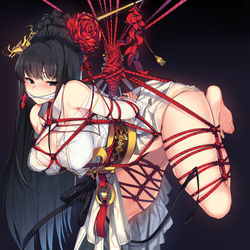 This is a pixiv picture whose title is 천선낭랑.