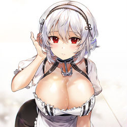 This is a pixiv picture whose title is シリアス.