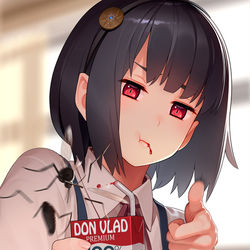 This is a pixiv picture whose title is 蚊を落とす児童.