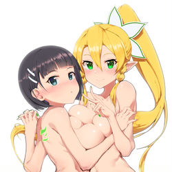 This is a pixiv picture whose title is リーファちゃん誕おめ～.