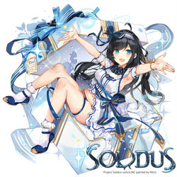 This is a pixiv picture whose title is [仕事絵] Solidus.