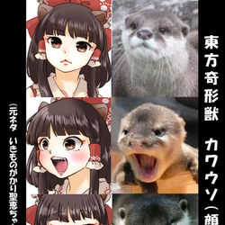 This is a pixiv picture whose title is カワウソ（顔）霊夢描いてみた.