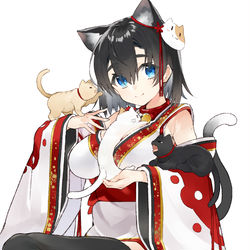 This is a pixiv picture whose title is にゃんこちゃん＋α.