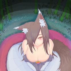 This is a pixiv picture whose title is 孤独な狼は何を想う・・・.