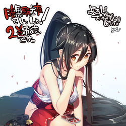 This is a pixiv picture whose title is 暗黒騎士様といっしょ！チドリさん.