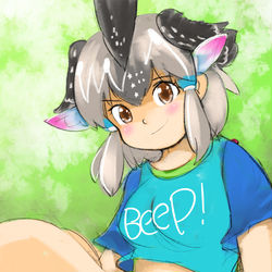 This is a pixiv picture whose title is よくしらないけど.
