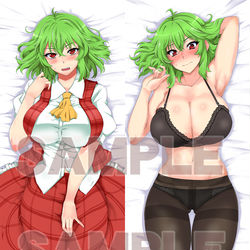 This is a pixiv picture whose title is 風見幽香健康的健全黒下着抱き枕.