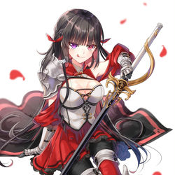 This is a pixiv picture whose title is 姫騎士Ⅱ.