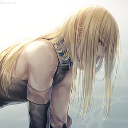 This is a pixiv picture whose title is 天蓋.