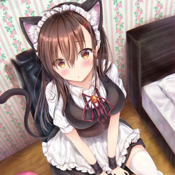 This is a pixiv picture whose title is 猫耳メイド.