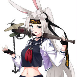 This is a pixiv picture whose title is 飛龍.