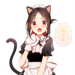 This is a pixiv picture whose title is 猫耳かぐや様.