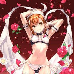 This is a pixiv picture whose title is メイドの日.