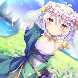 This is a pixiv picture whose title is コッコロ誕生日.