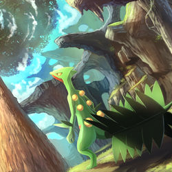 This is a pixiv picture whose title is ジュカイン.