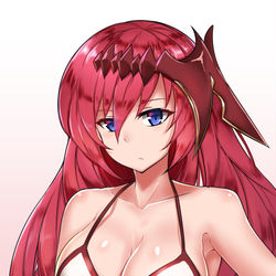 This is a pixiv picture whose title is 不可侵神域（水着2）.