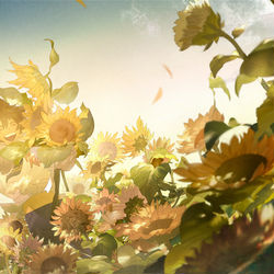 This is a pixiv picture whose title is Happy birthday to Anmicius.