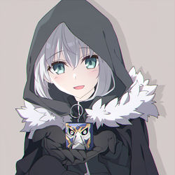 This is a pixiv picture whose title is グレイたんんｎ.