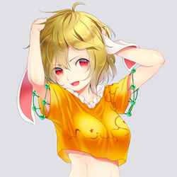 This is a pixiv picture whose title is りんごちゃん.