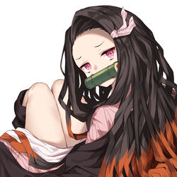 This is a pixiv picture whose title is はこいりねずこ.