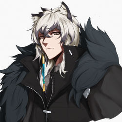 This is a pixiv picture whose title is 银灰.