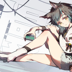 This is a pixiv picture whose title is 六ちゃん - 00:00.