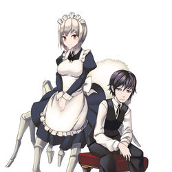 This is a pixiv picture whose title is 従者.