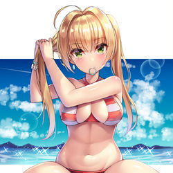 This is a pixiv picture whose title is ネロちゃま！.