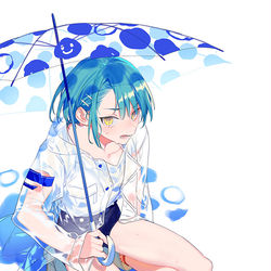 This is a pixiv picture whose title is 梅雨入り.