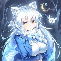This is a pixiv picture whose title is ホッキョクオオカミちゃん.