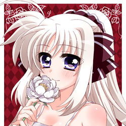 This is a pixiv picture whose title is リリマジ27合わせの本の委託販売始まりました.