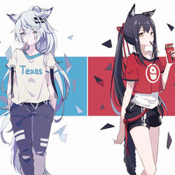 This is a pixiv picture whose title is Lappland & Texas.