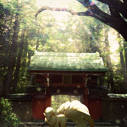 This is a pixiv picture whose title is 禁域御前.