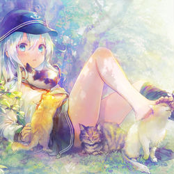 This is a pixiv picture whose title is 提督！駆逐艦響が猫まみれのため出撃できません！.