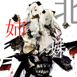 This is a pixiv picture whose title is 北方姉妹.