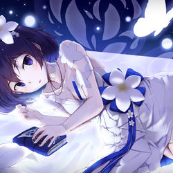 This is a pixiv picture whose title is 月下蝶 ～ゼーレ・フェレライ～.