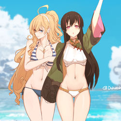 This is a pixiv picture whose title is Juniper beach.