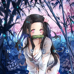 This is a pixiv picture whose title is 禰豆子.