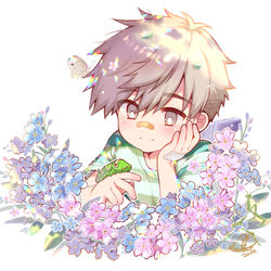 This is a pixiv picture whose title is 虫愛づる彦君.