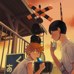 This is a pixiv picture whose title is 日向と影山.