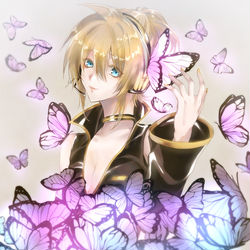 This is a pixiv picture whose title is 蝶々.