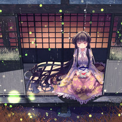 This is a pixiv picture whose title is 蛍火と金魚鉢と輝夜姫の夜.