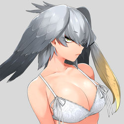 This is a pixiv picture whose title is ハシビロコウ色々.