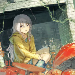 This is a pixiv picture whose title is きのこまみれ.