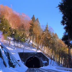 This is a pixiv picture whose title is a tunnel.