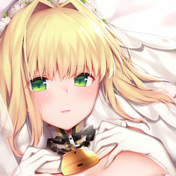 This is a pixiv picture whose title is ネロ・ブライド.