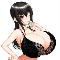 This is a pixiv picture whose title is 黒のレース下着麗衣華.