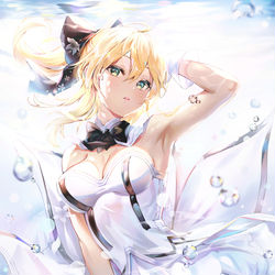 This is a pixiv picture whose title is セイバー・リリィ.